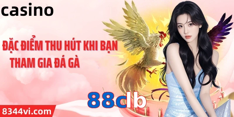 88clb