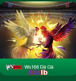 88clb